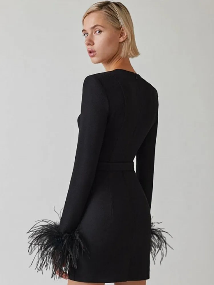 Sofia | Mini-robe élégante à détails plumes
